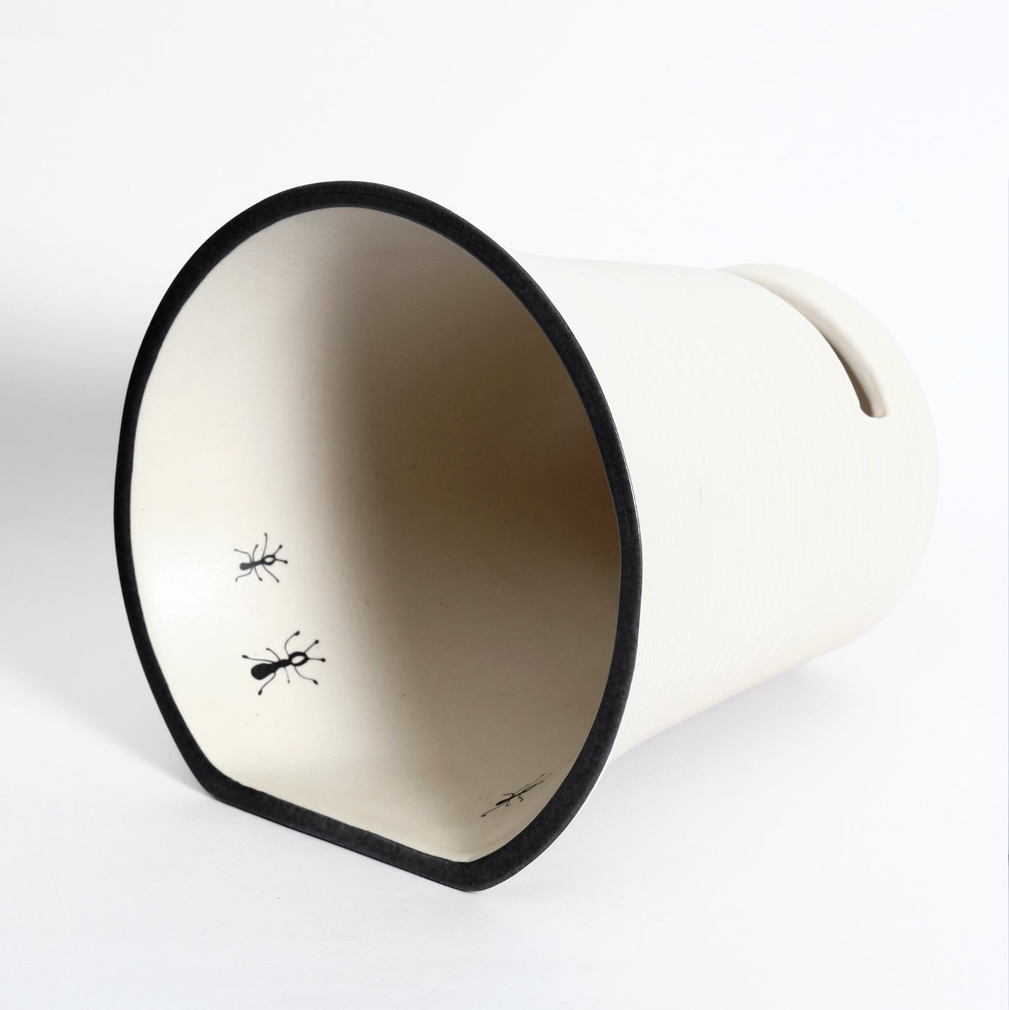 Antlifier (Music Amplifier) Pre-order