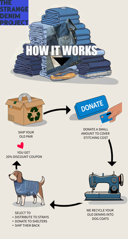 THE STRANGE DENIM PROJECT