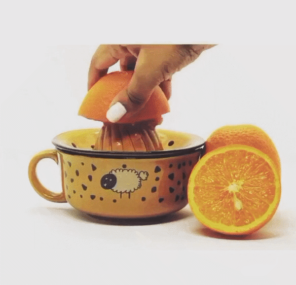 Ceramic Juicer, Handmade juicer, Juicer, Citrus squeezer